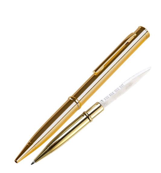 2-in-1 Security Pen | Stylish, Sleek & Discreet ✨