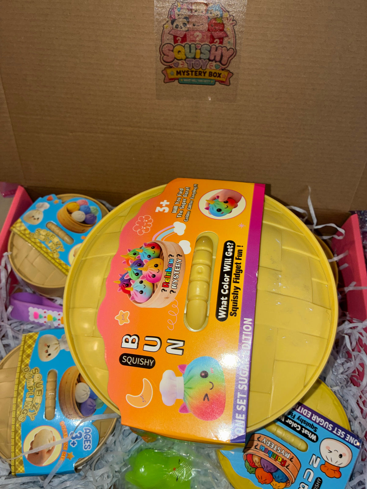 Dumpling Mystery Squishy Box