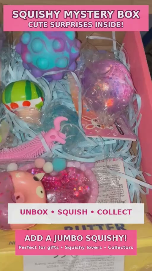 SQUISHY MYSTERY BOX